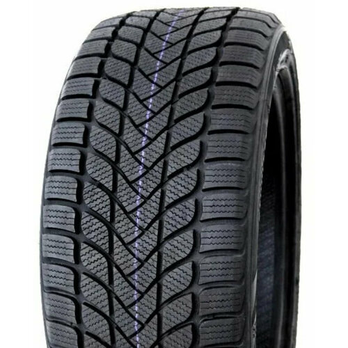 Автошина Pace 205/65R15 94H ANTARCTICA 5