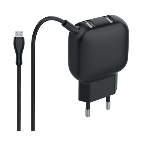 Everstone Зарядное устройство сетевое Everstone EV-AC-USBMicro10, черный