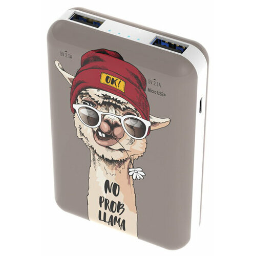 Внешний аккумулятор Ritmix RPB-10007 Lama 143600₽