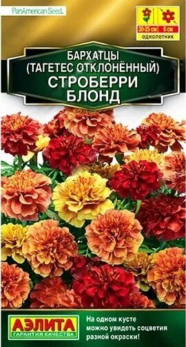 Бархатцы Строберри Блонд 5шт Аэлита