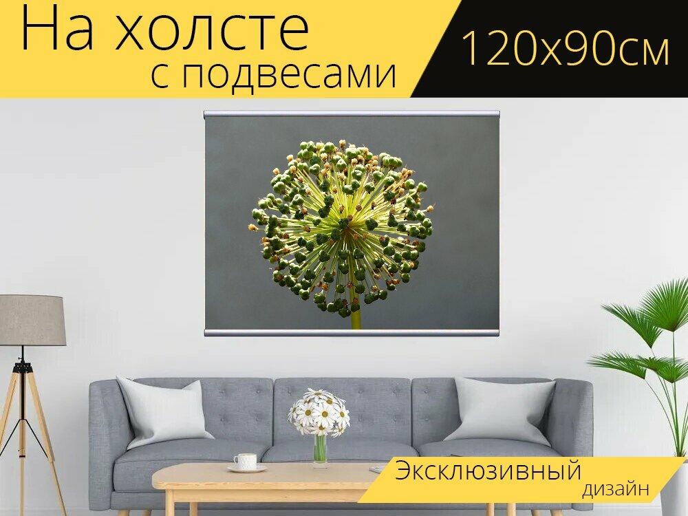 Картина на холсте "Лукпорей, декоративные лук, цвести" с подвесами 120х90 см. для интерьера