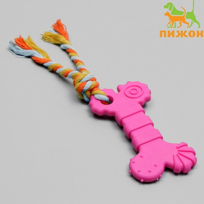 Игрушка для собак Пижон "Кость с хвостом", жевательная, с канатом, розовая