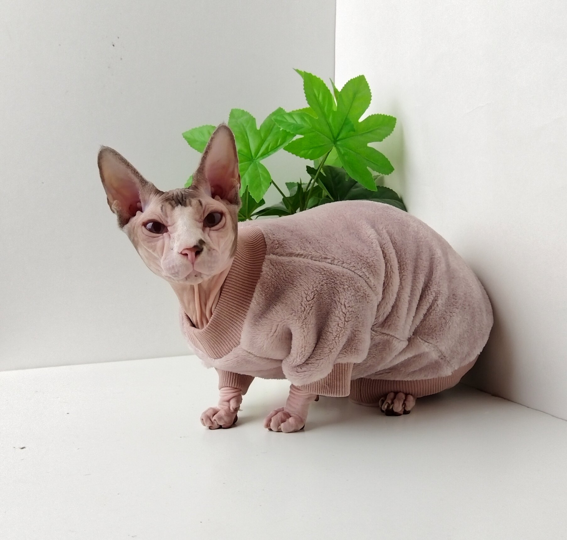 Толстовка, свитер, шуба для кошек сфинкс, размер 35 (длина спины 35см), цвет пыльная роза/ одежда для кошек сфинкс / одежда для животных - фотография № 2