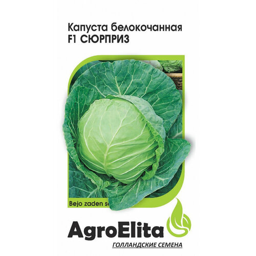 Семена Капуста белокочанная Сюрприз F1, 10шт, AgroElita, Bejo