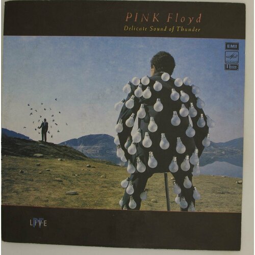 Виниловая пластинка Pink Floyd - Delicate Sound Of Thunder pink floyd records pink floyd a momentary lapse of reason виниловая пластинка