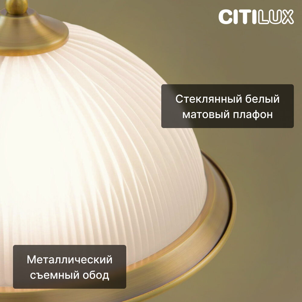 Настольный светильник Citilux Идальго CL434811 белый бронзовый