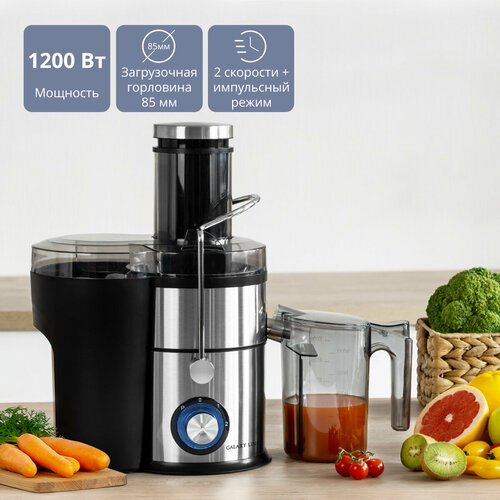 Соковыжималка электрическая GALAXY LINE GL0812 599000₽