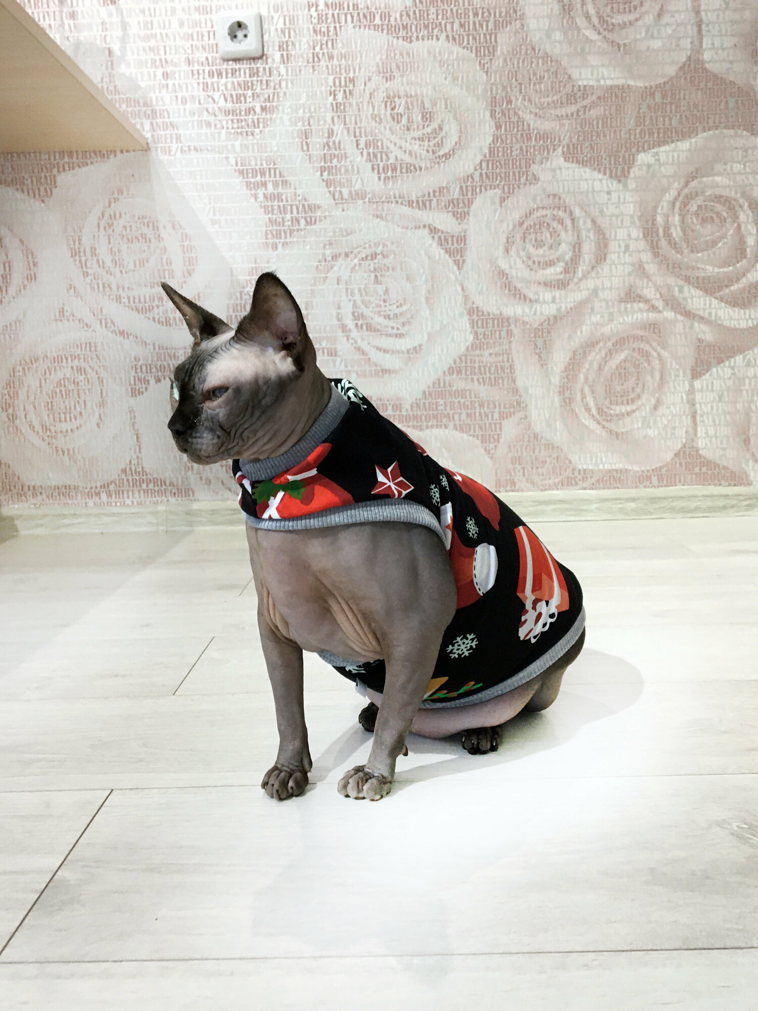 Одежда для животных кошек сфинкс и собак мелких пород, размер XL - фотография № 6