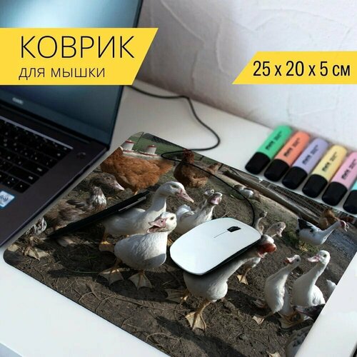 Коврик для мыши с принтом Рассрочка, кур, двор 25x20см.