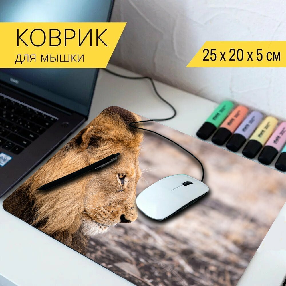 Коврик для мыши с принтом "Лев, дикое животное, африке" 25x20см.