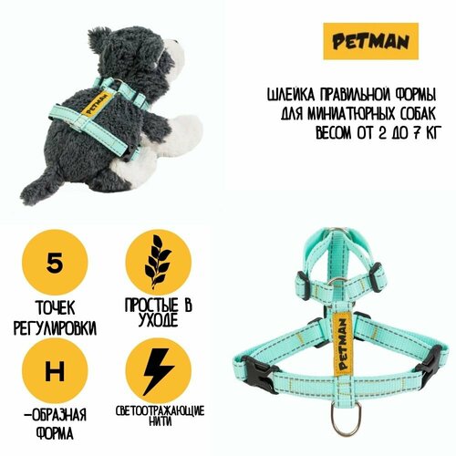 Регулируемая светоотражающая шлейка для собак и кошек до 5 кг 15 мм