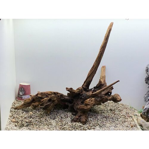 Декор аквариумный коряга коралловое дерево 40-80 см 001 коряга натуральная сакура desert driftwood xxl