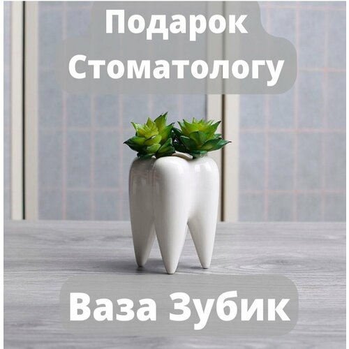 Ваза зуб для суккулентов горшок для цветов для сухоцветов в подарок для стоматолога врача медсестры медработника дантиста держатель зубных щеток 649₽