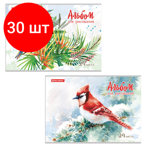 Комплект 30 шт, Альбом для рисования А4 24 л, скоба, обложка картон, BRAUBERG, 202х285 мм, 