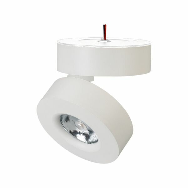 Светильник SP-MONA-SURFACE-R100-12W Day4000 (WH 24 deg) (Arlight IP40 Металл 3 года) 025439(1)