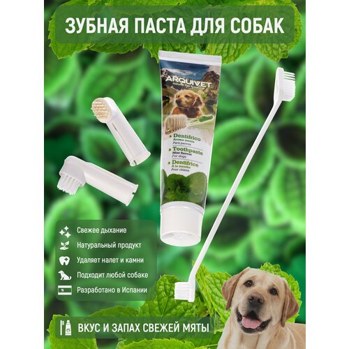 Зубная паста для собак и кошек животных ARQUIVET набор с щеткой и напальчником, вкус мяты