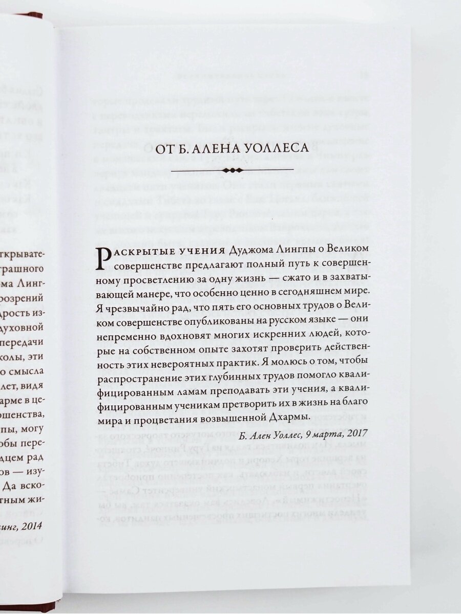 Суть ваджры. Провидческие откровения Великого совершенства Дуджома Лингпы. Том 3 - фото №8