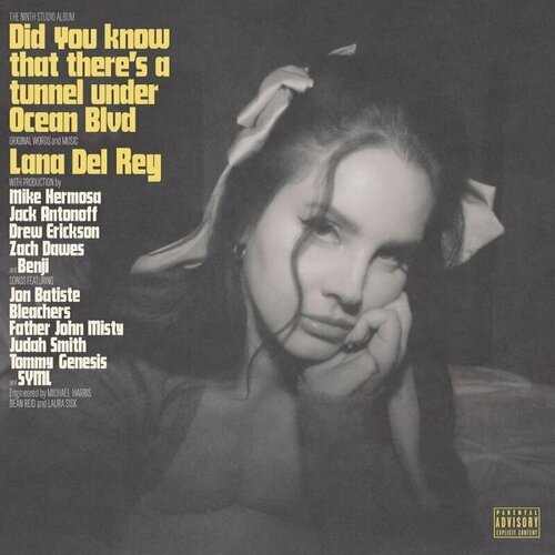 Lana Del Rey Did You Know That There'S A Tunnel Under Ocean Blvd Lp виниловая пластинка lana del rey did you know that there s a tunnel under ocean blvd 2lp