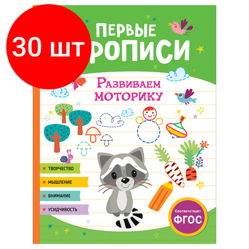 Комплект 30 шт, Прописи, А4, Росмэн Первые прописи. Развиваем моторику, 48стр.