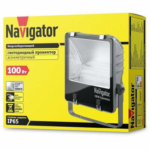 Светодиодный прожектор Navigator 94 748 NFL-AM-100-5K-GR-IP65-LED, цена за 1 шт.