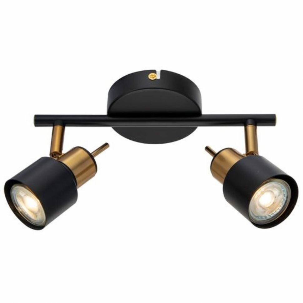 ARTE Lamp #ARTE LAMP A1906PL-2BK светильник потолочный