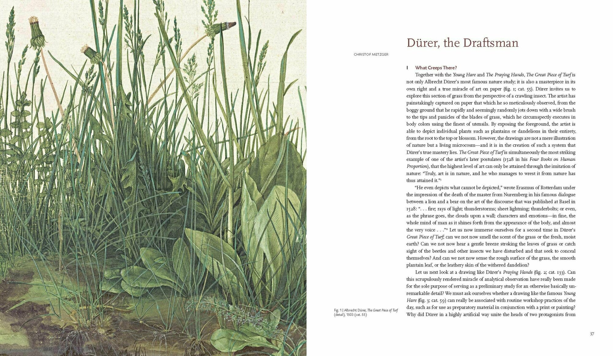 Albrecht Durer (Wolf Norbert) - фото №2