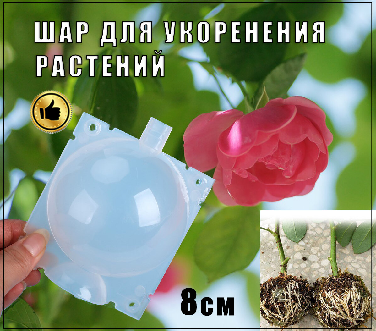 фото Шар для укоренения растений 5 см, Коробка для черенкования, 5 шт