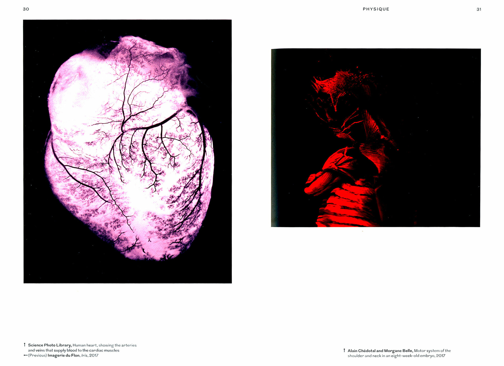 Body. The Photobook (Herschdorfer, Nathalie) - фото №4