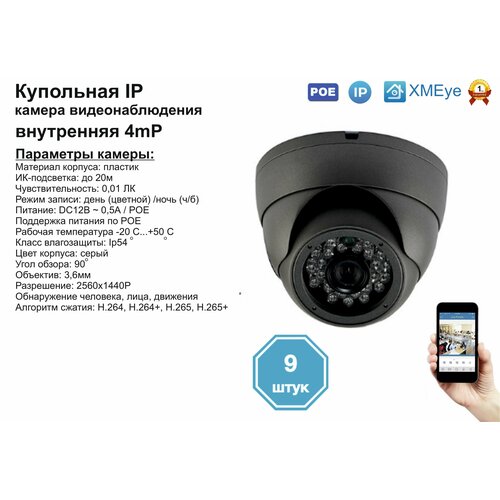 9шт DVS300IP4MPPOE Внутренняя IP камера 4мП с ИК до 20м 1990000₽