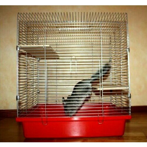 Клетка (ЗооЛайф) 56*50*66 см складная для шиншилл