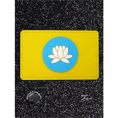 Шеврон Военные сталкеры Группировка