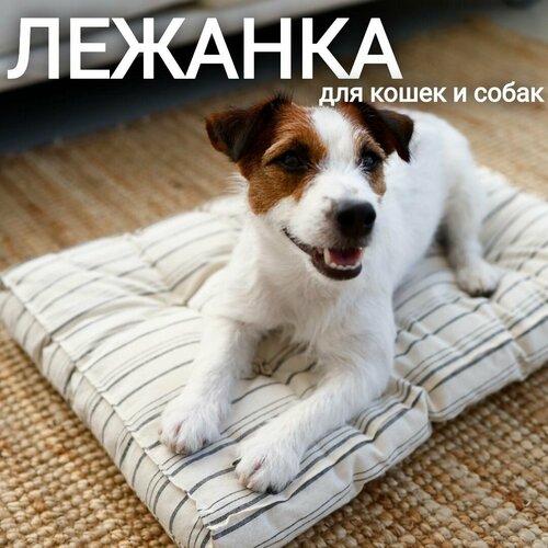 Лежанка матрас ретро СССР 50х40х7 см для домашних животных/собак, серая полоска, арт. MR_M/grey340