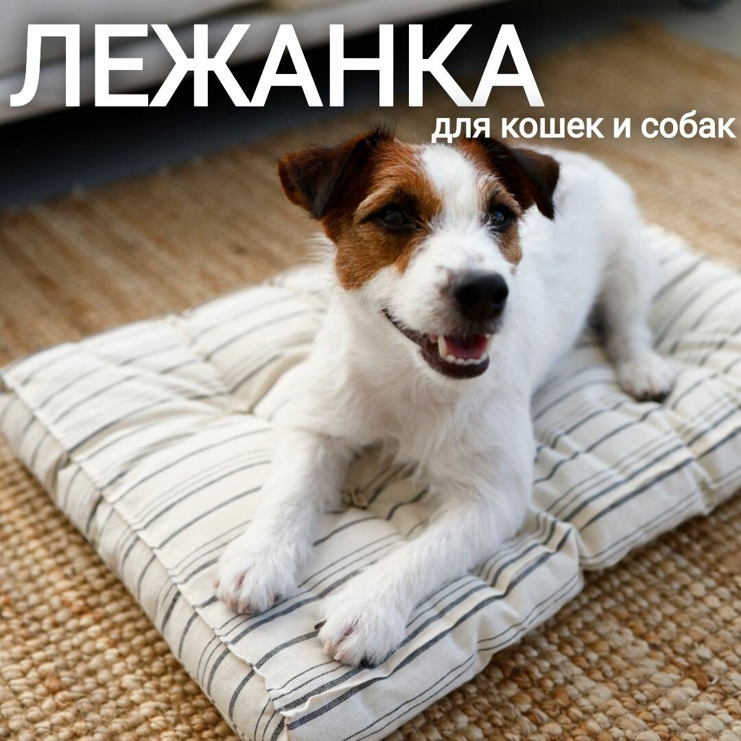 Лежанка матрас ретро СССР 50х40х7 см для домашних животных/собак, серая полоска, арт. MR_M/grey340