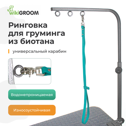 Ринговка для собак и щенков wikiGROOM из биотана (пвх) бирюзовая