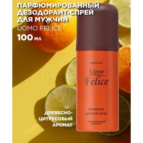 Парфюмированный дезодорант-спрей для мужчин Uomo Felice 561₽