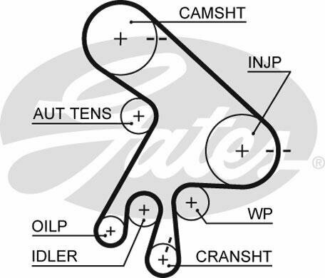 Комплект ГРМ Toyota Avensis, Avensis Verso, Corolla, Corolla Verso, Previa, RAV 4 II GATES K015562XS