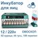 Инкубатор для 64 яиц автоматический 220/12v IG-65 (вентилятор, ов...