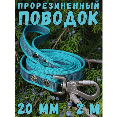 Поводок прорезиненный для средних/крупных пород собак 20мм, 2м DOG JOYS