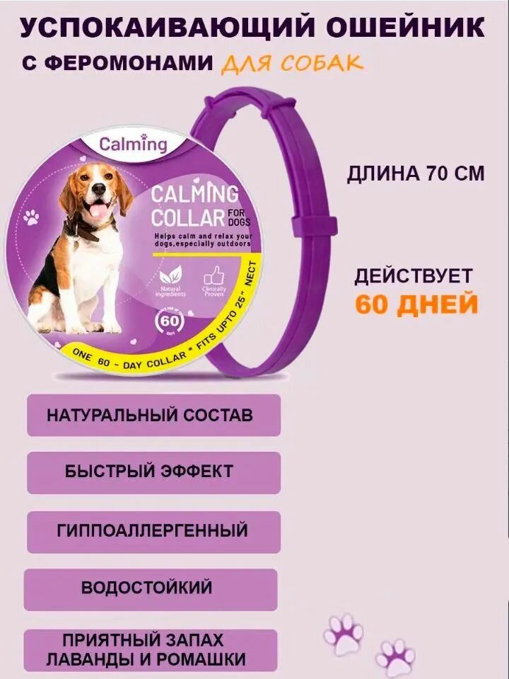 Ошейник успокаивающий для собак с феромонами и эфирными маслами фиолетовый