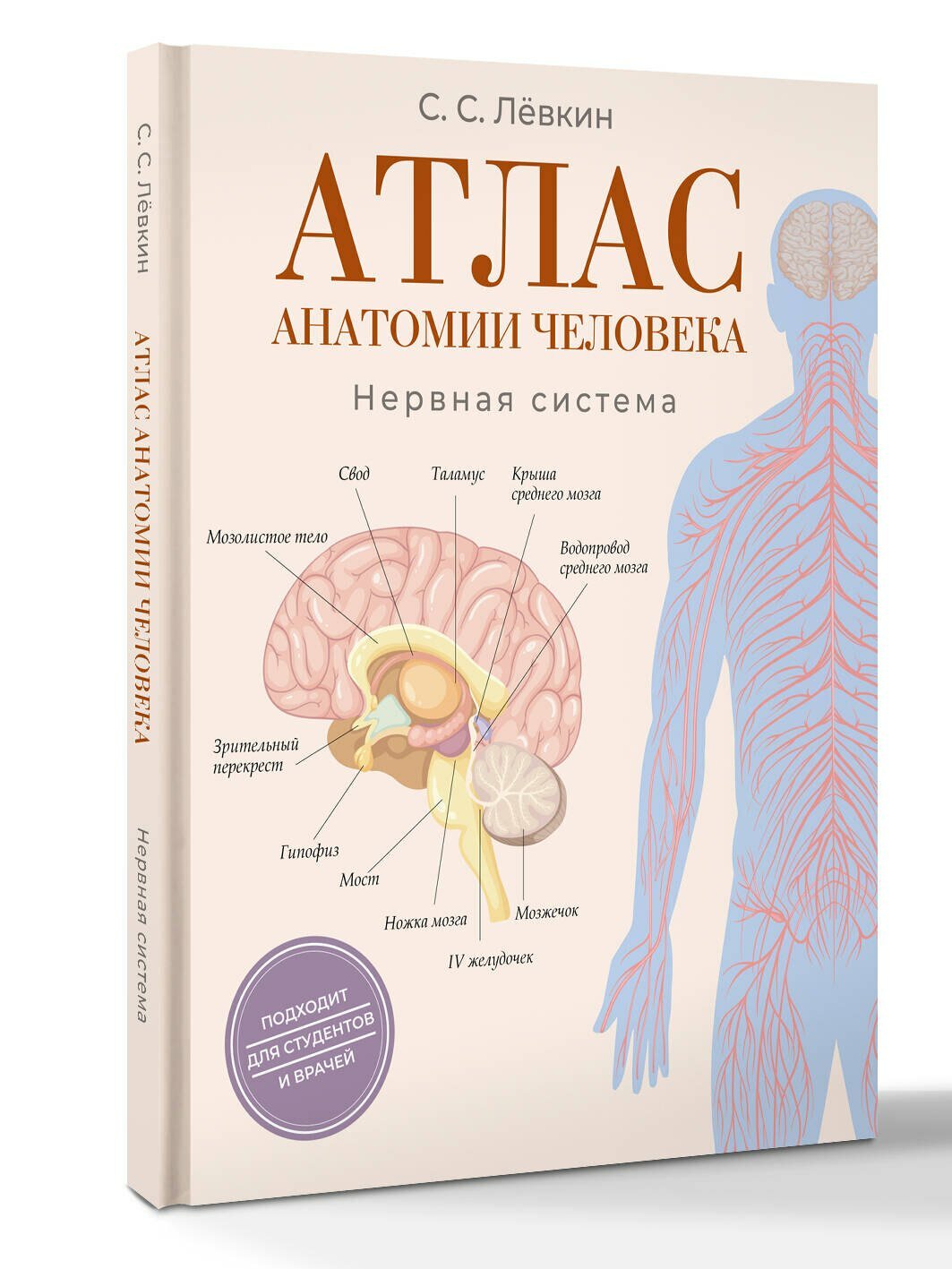 Атлас анатомии человека. Нервная система — фото 1