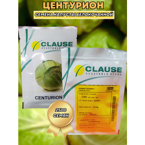 Центурион F1 - семена капусты белокочанной, 2 500 семян, Clause/Клаус (Франция)