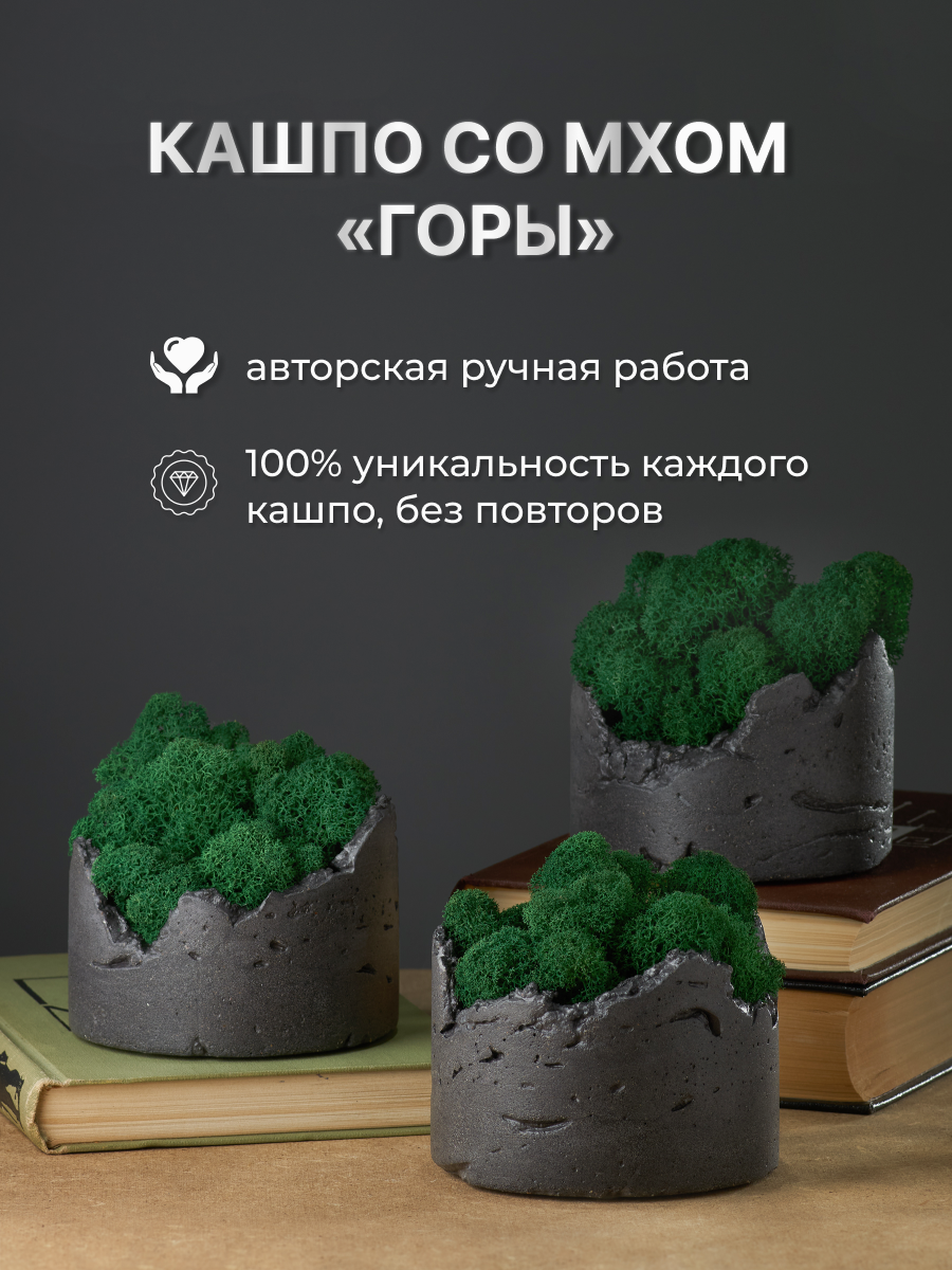 Декоративное кашпо с мхом на полку из бетона "Горы" графит 10*10 см 1 шт