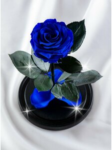 Живая Роза в колбе Therosedome Premium Mini 6 см стабилизированная, цветок в колбе, вечная роза, подарок, декор для интерьера, цвет: синяя