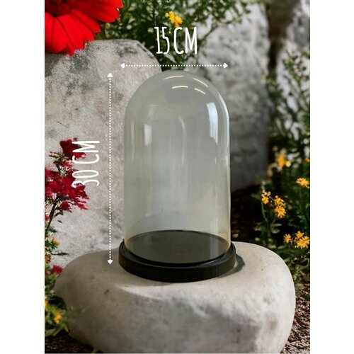 Декоративный Стеклянный клош Витрина для Фигурок Статуэток