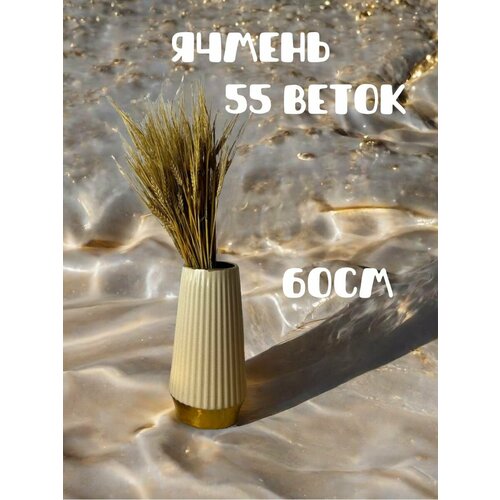 Настоящий ячмень для декора дизайн дома 55 веточек 60см