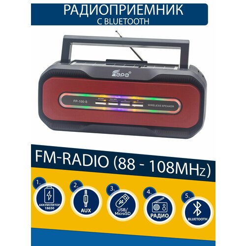 Радиоприемник EPE FP-100-S солнечная батарея 255400₽