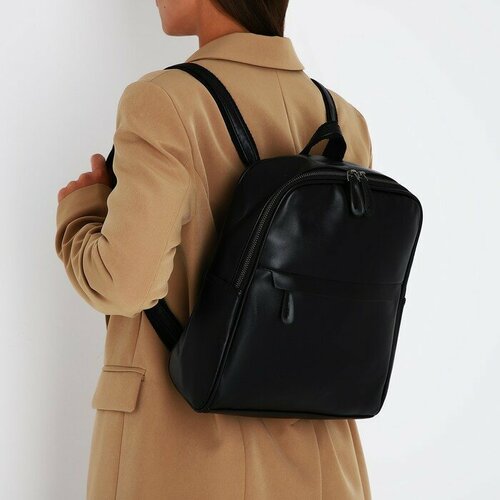 Рюкзак женский из искусственной кожи на молнии, 2 кармана, цвет чёрный аллиум неополитанский 10 шт