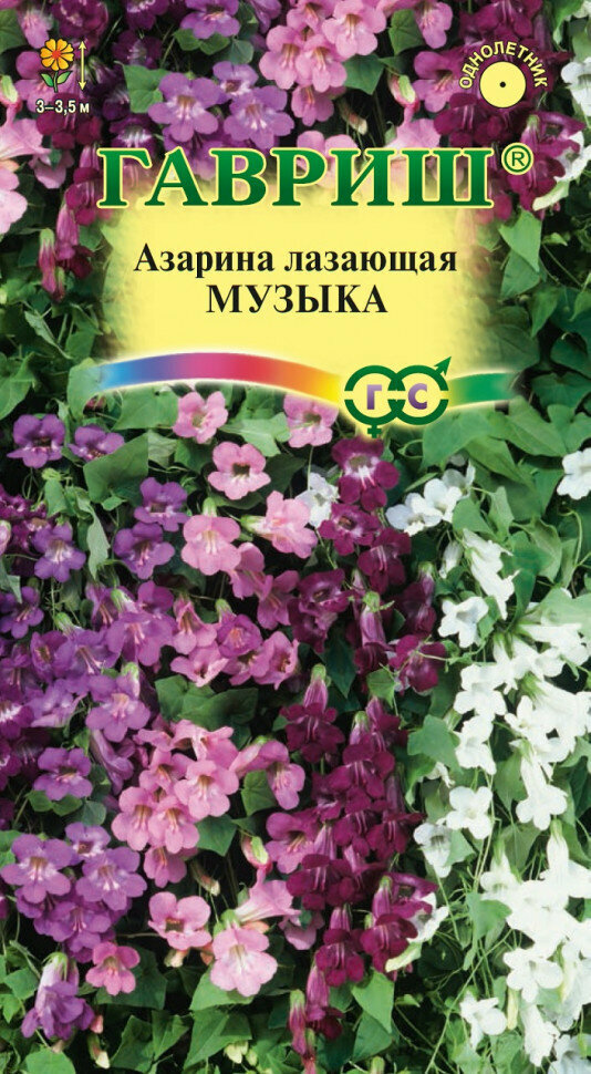 Семена Азарина лазающая Музыка смесь 4шт Гавриш Цветочная коллекция 10 упаковок