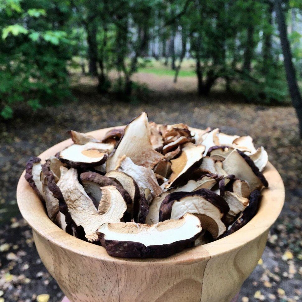 Сушеные Белые грибы сухие алтайский высшего сорта 50 г Лесные дикорастущие боровые грибы, слайсы, для супа, соуса, сухие снеки