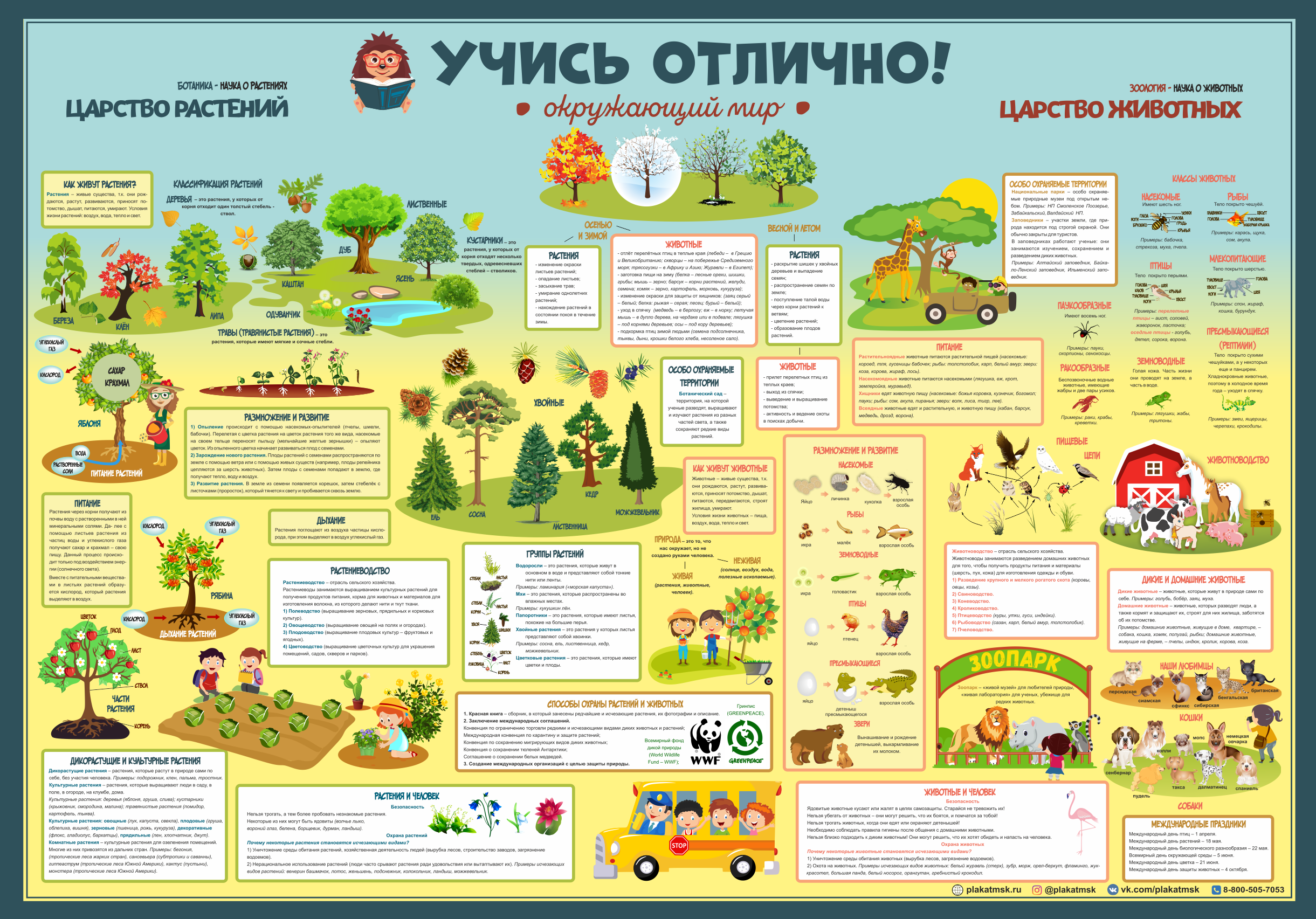 Плакат шпаргалка для начальной школы Учись отлично - Окружающий мир